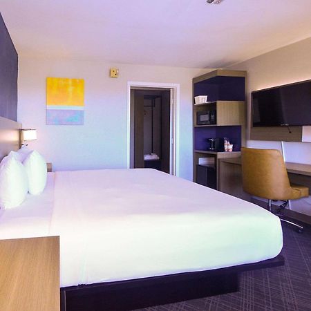 Comfort Inn Encinitas Near Legoland Esterno foto