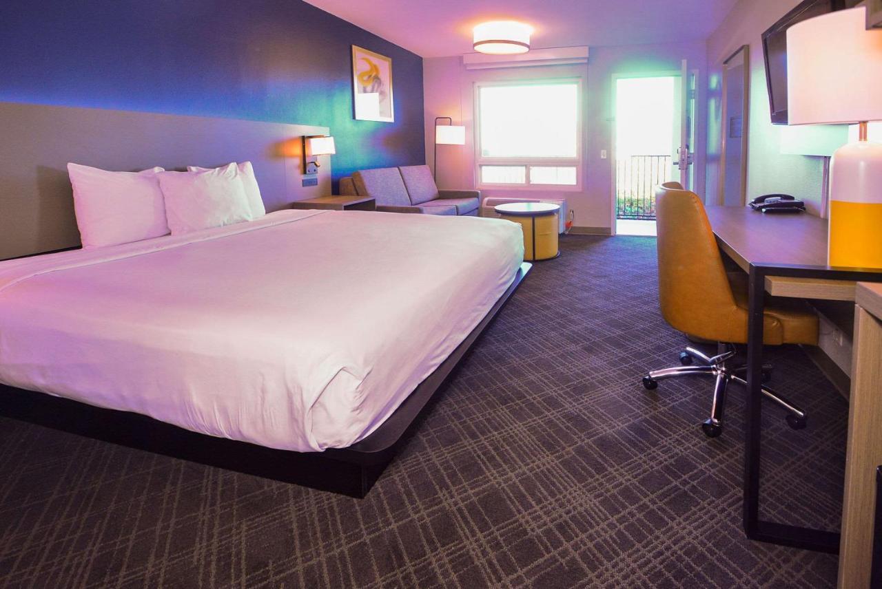 Comfort Inn Encinitas Near Legoland Esterno foto