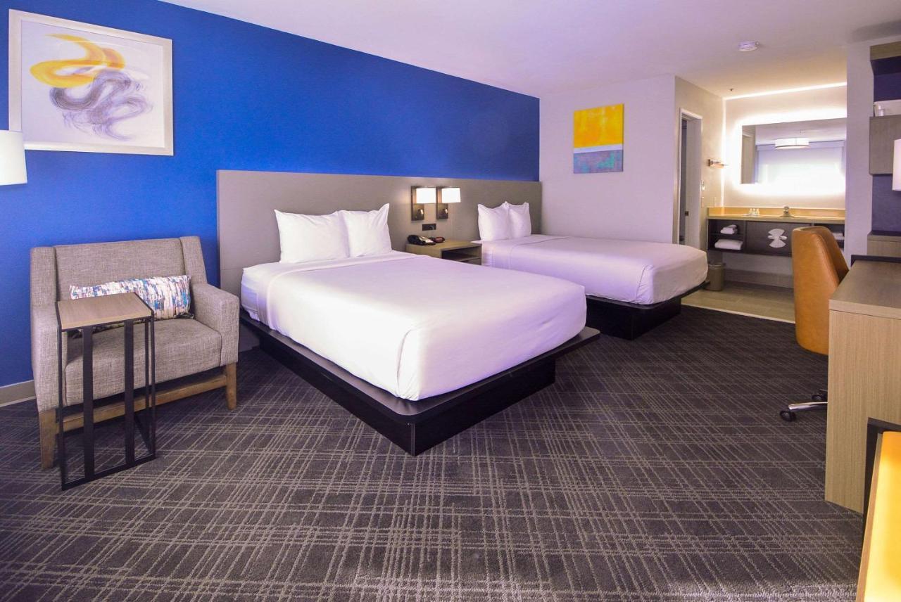 Comfort Inn Encinitas Near Legoland Esterno foto