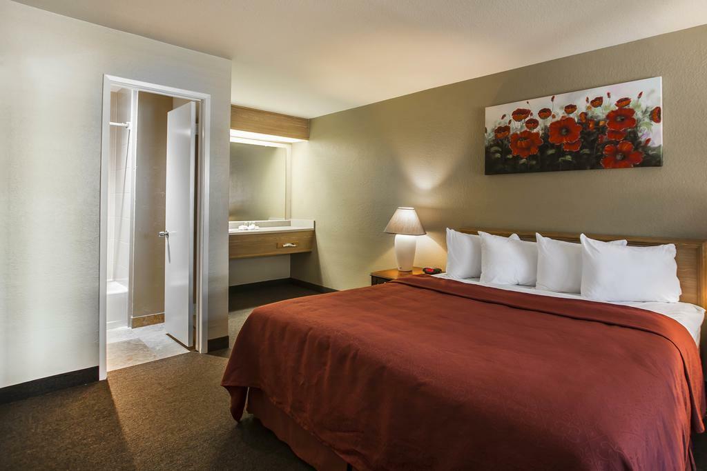 Comfort Inn Encinitas Near Legoland Esterno foto